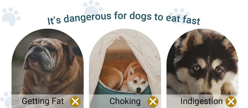 Comedero Lento Antiansiedad para Perros